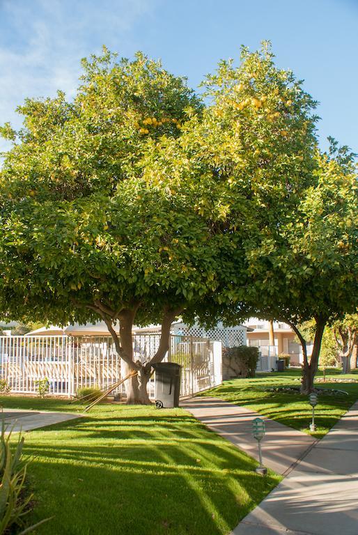 Tuscany Manor Palm Springs Dış mekan fotoğraf